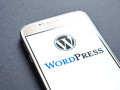 スマートフォンに表示したワードプレスのロゴ