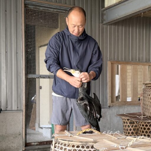 幻想的な世界感は圧巻!岐阜県 夏の風物詩「ぎふ長良川の鵜飼」鵜匠さんの一日に密着