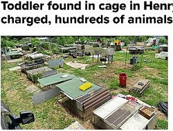 �˻���߽Ф����ˤ�¿���Υ��������ʲ����ϡ�NewsChannel 5 Nashville WTVF��2020ǯ6��27���ա�Toddler found in cage in Henry County; 3 charged, hundreds of animals rescued�ס٤Υ����꡼�󥷥�åȡ�