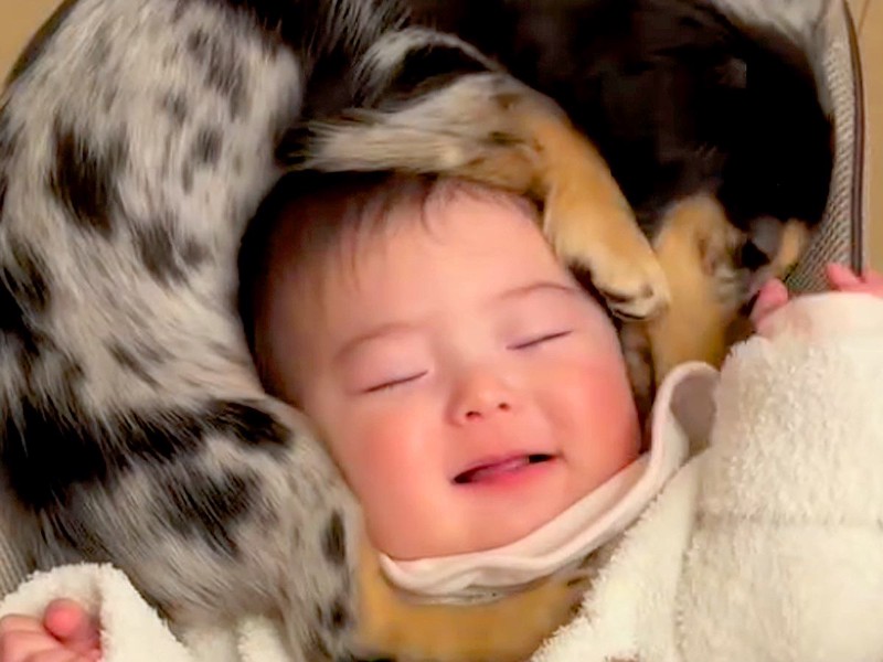 λҤ֤ΡƬ褦ˡٿƤȾǯ墪ͤޤäƤºʡ٤ȿɤǤ襤ס֥ޥեーʡ