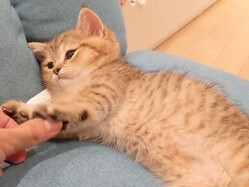 ��������ʤ���­��դߤդߤ����ǭ
