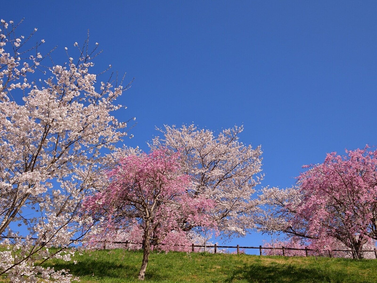  All About �˥塼���Խ���������250�ͤ��оݤ˼»ܤ����ֺ���̾��˴ؤ��륢�󥱡��ȡפ�Ĵ����̤��顢���դǹԤäƤߤ����������ʺ���̾���󥭥󥰤�ȯɽ�� 2�̡����ĻԤ�����λ��פ��ޤ���1�̤ϡ� 