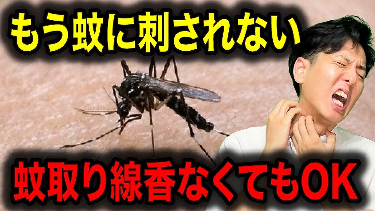 蚊に刺されないための具体的な方法 雑学王子ミツル氏が解説【連載第1回】