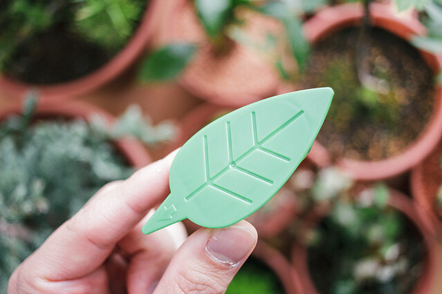 コバエ 対策 1プッシュ式スプレー 1個 60回分 Botanice アースガーデン アース製薬 観葉植物 飛びまわるコバエ退治 輝く高品質な 観葉植物 コバエ 対策 1プッシュ式スプレー 1個 60回分 Botanice アースガーデン アース製薬 観葉植物 飛びまわるコバエ退治 輝く高品質な 観葉植物