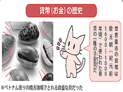 日本のお金はいつ頃この世の中に登場したのか？【図解 経済とお金の話】