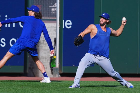 ����å��ܡ���򤹤�ɥ��㡼���������Υ��쥤�ȥ󡦥������硼�ڼ̿�������ʹ�ˡ�