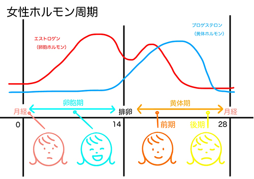 激しいイライラ 気分が落ち込む月経前の Pmdd なぜこんなにしんどいの 精神科医に聞く Peachy ライブドアニュース 激しいイライラ 気分が落ち込む月経前の Pmdd なぜこんなにしんどいの 精神科医に聞く Peachy ライブドアニュース