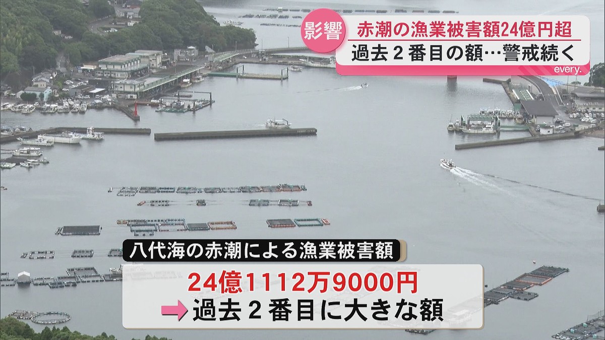 鹿児島読売テレビ