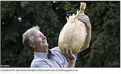 Ƭ礭դ礭ʥޥͥͥϿ򹹿ͽʲϡBBC News2023ǯ917աEye-watering sized onion 'sets new world record' at Harrogate showסPA MEDIAˡ٤Υ꡼󥷥åȡ