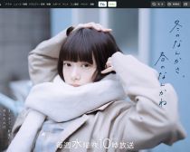 �ɥ�ޡ��ߤΤʤ󤫤����դΤʤ󤫤͡ס����ܥƥ�Ӹ��������Ȥ���