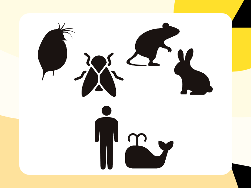 【進化の鍵】死は命のアップデート？絶滅を防ぐためにプログラムされた「寿命」の正体【図解 死の話】