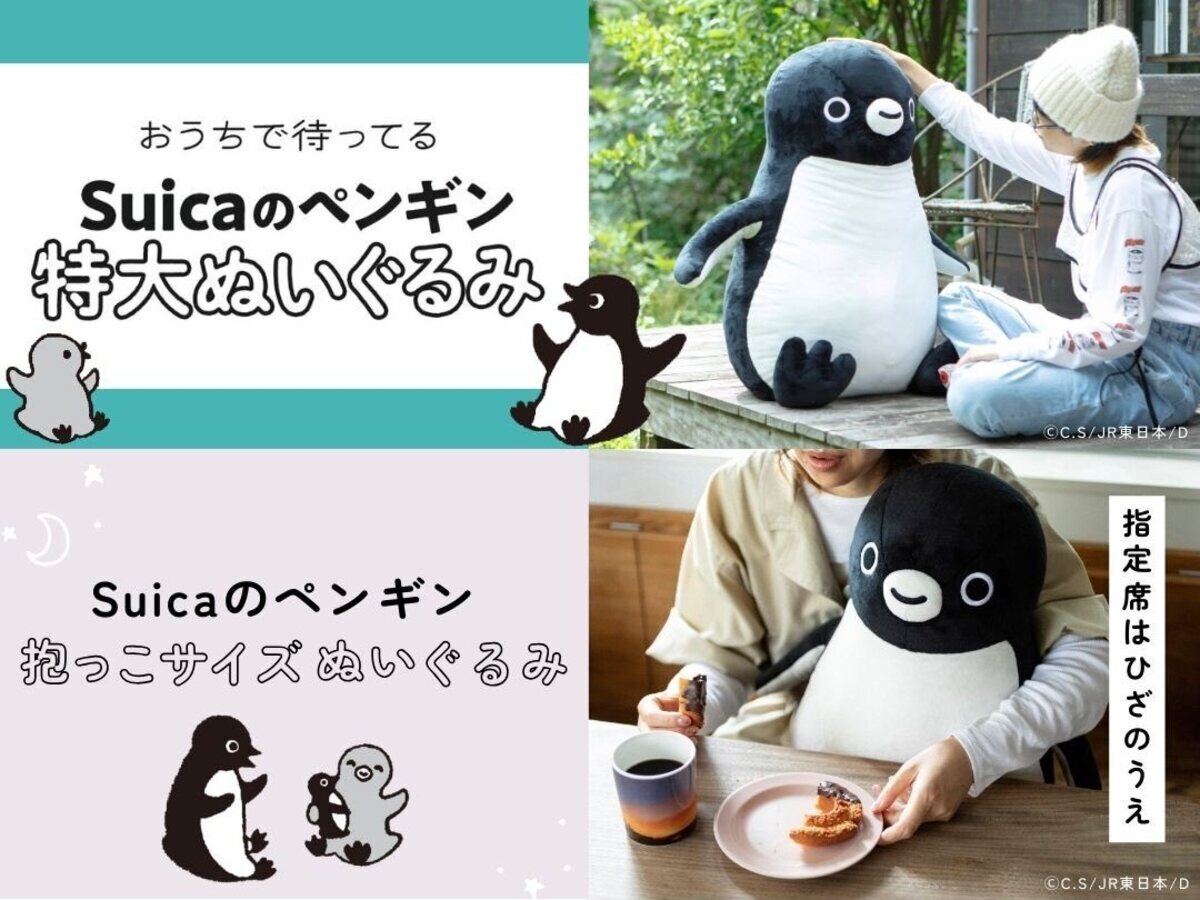 ファン待望】大人気「Suicaのペンギン」の特大ぬい&抱っこぬいの受注