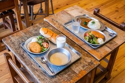 �顼���������Τϡֲ�ʪ����ס� �������ϥ��᡼��