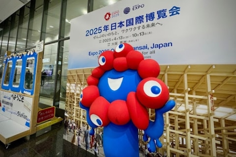 ��Ϣ����