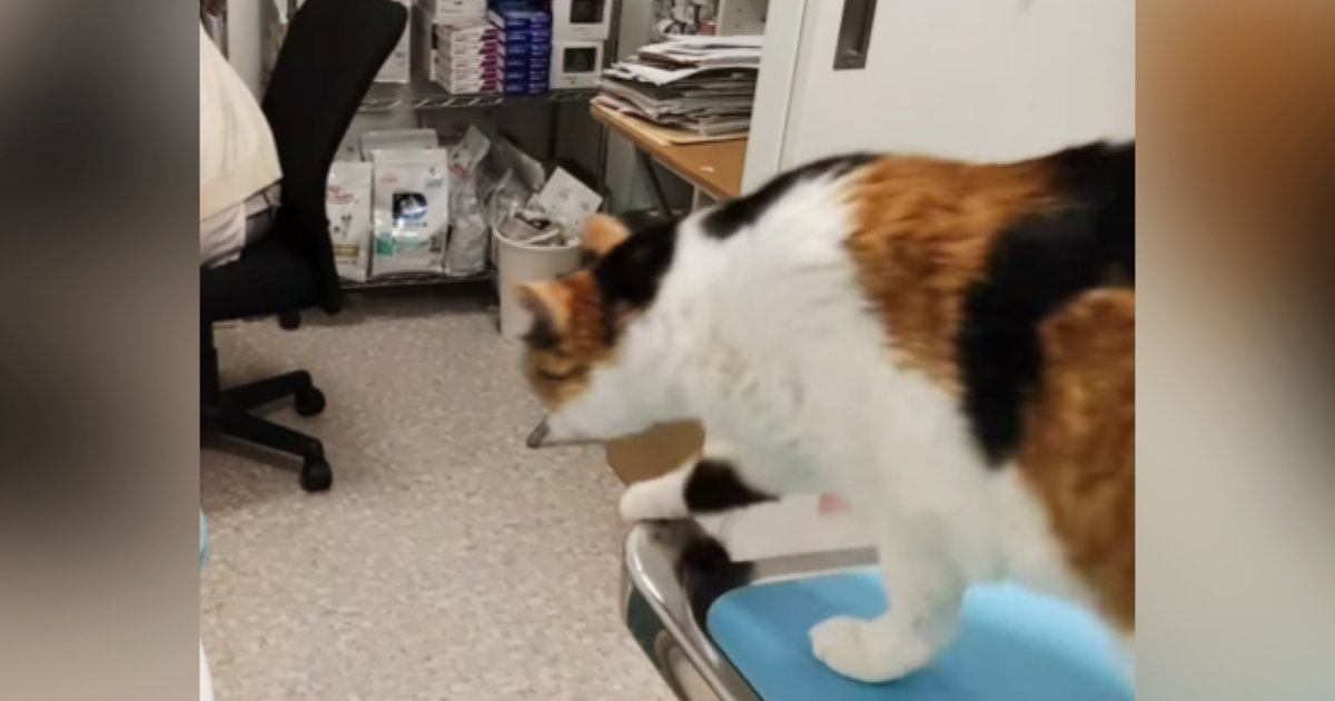 病院から「早く帰りたい」気持ちが伝わってくる衝撃的な行動