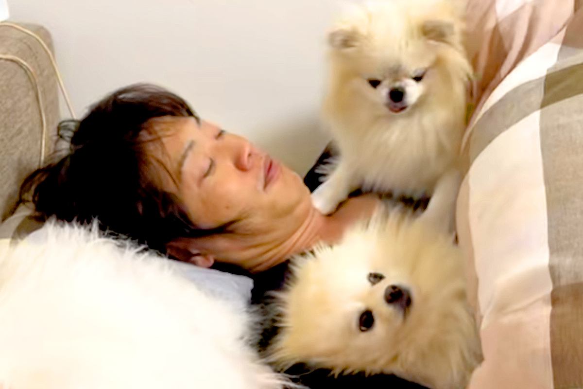 パパの腕枕で寝たい犬 小競り合いから大喧嘩に発展した?