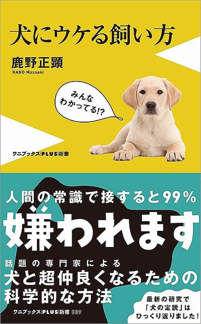 じっと目を見つめながら犬の体をなでてはいけない 犬と接するプロが絶対にやらないこと ライブドアニュース
