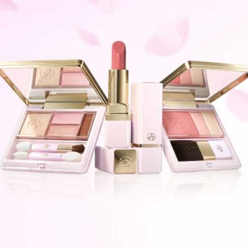 ca☆未使用☆ ノエビア スペチアーレ メイクアップキット 20 春 ca未使用 ノエビア スペチアーレ メイクアップキット 20 春-シューズが