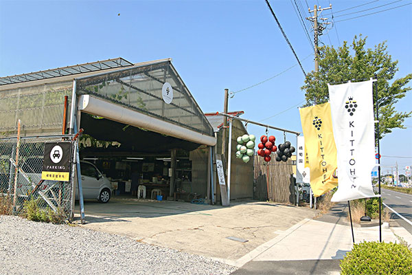 幻の希少種を栽培する愛知の老舗ぶどう園がロゴデザインを一新 ライブドアニュース