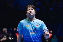 ���統����C��ITTF