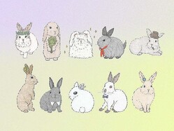 �徽�̻ҤΥץ�ߥ��द�����ꤤ��6��2����8���α���