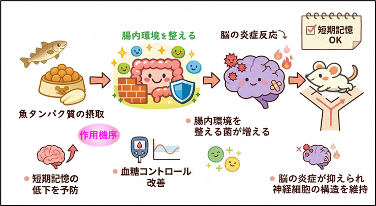 ��������ؤȴ��������ؤθ�������ब�����򿩤٤뤳�Ȥˤ��򹯸��̤�ʳ�Ū�˼¾ڢ� ��ͳ�西��ѥ������ݼ�ϲ����ȼ��û�������㲼��ͽ�� ��Ĳ��Ķ���������Ǿ�α�ɤ����������