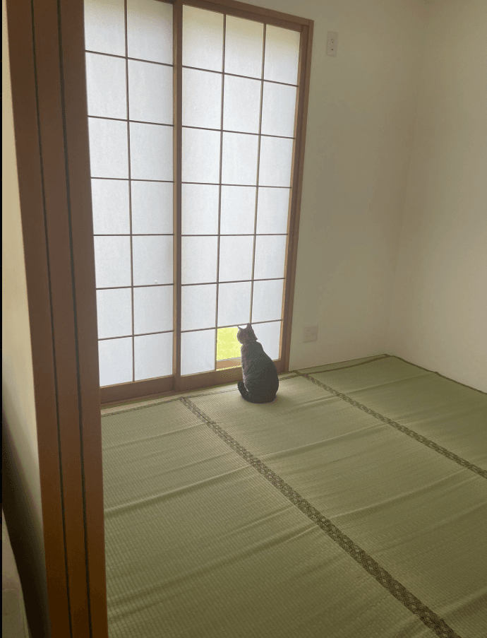 猫ちゃん専用の窓が完成 画像提供:サブよものおうち