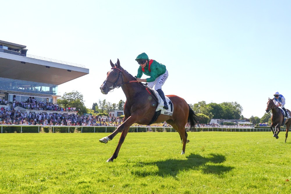 カランダガン 【競馬フィギュア】 世界最強馬カランダガン〟のGraffard