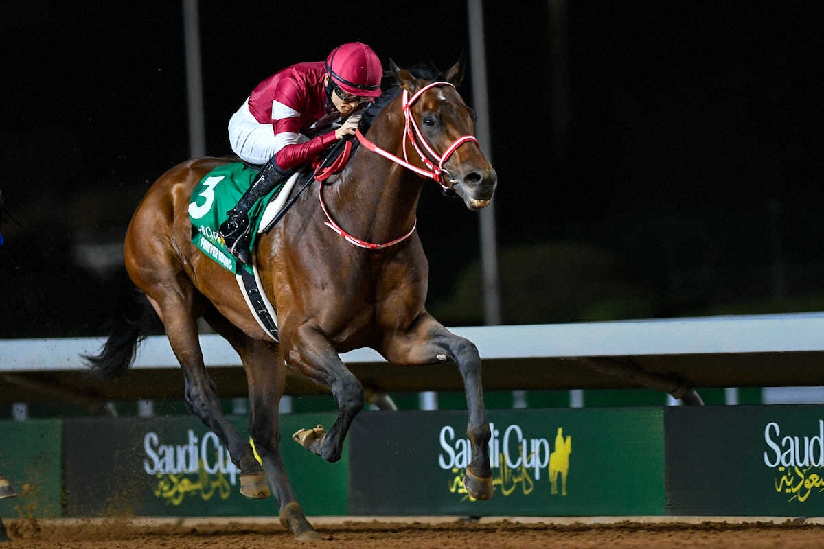 鈴木憲和農水大臣 ドバイ滞在中のJRA関係者の状況を確認