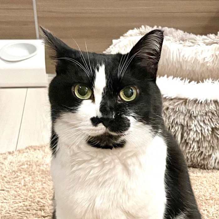 画像が削除されました