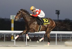 �����ĤФ���ǰ�����Υ�ե����������ľ���������󶡡����θ������ȹ��