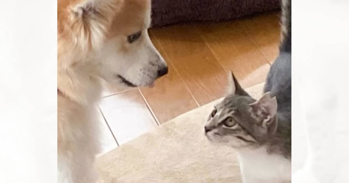 ǭʤʤäǭݸ 轻˰ƤѤȿƤ