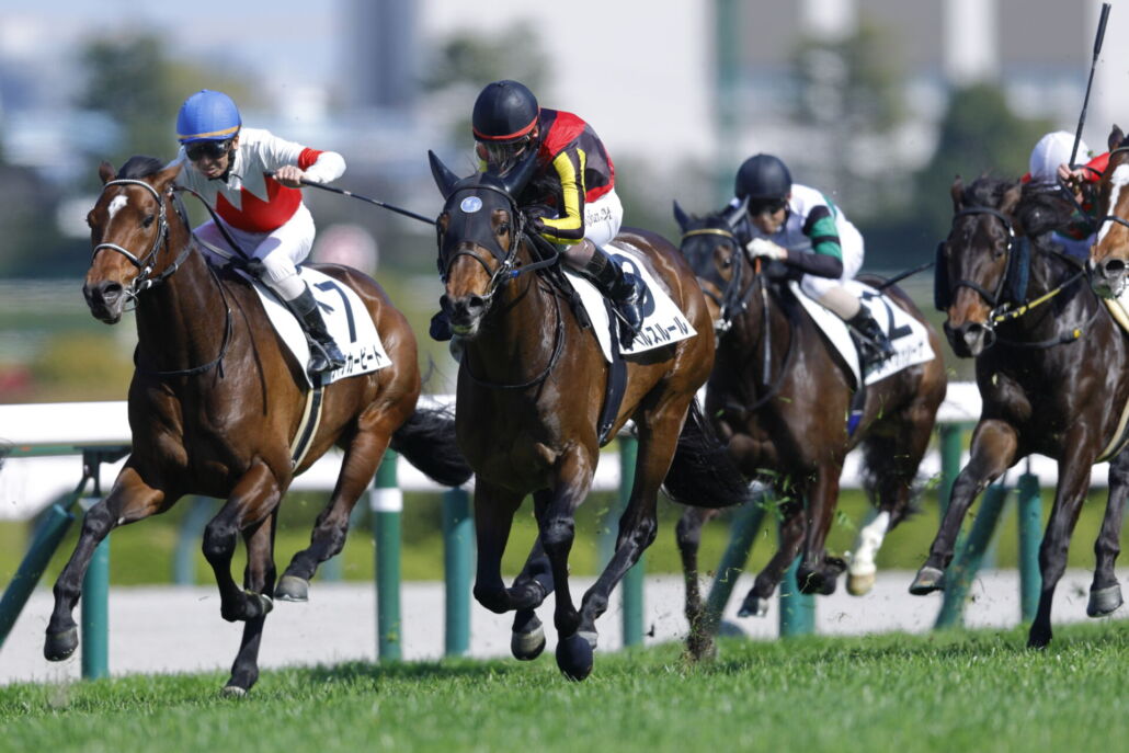 4歳上1勝クラス・レベルスルールと松山弘平騎手