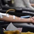 台湾で献血不足が深刻化 在庫は5日持たず「20年来最悪の状況」に
