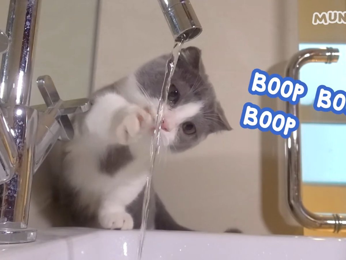 水が気になる……