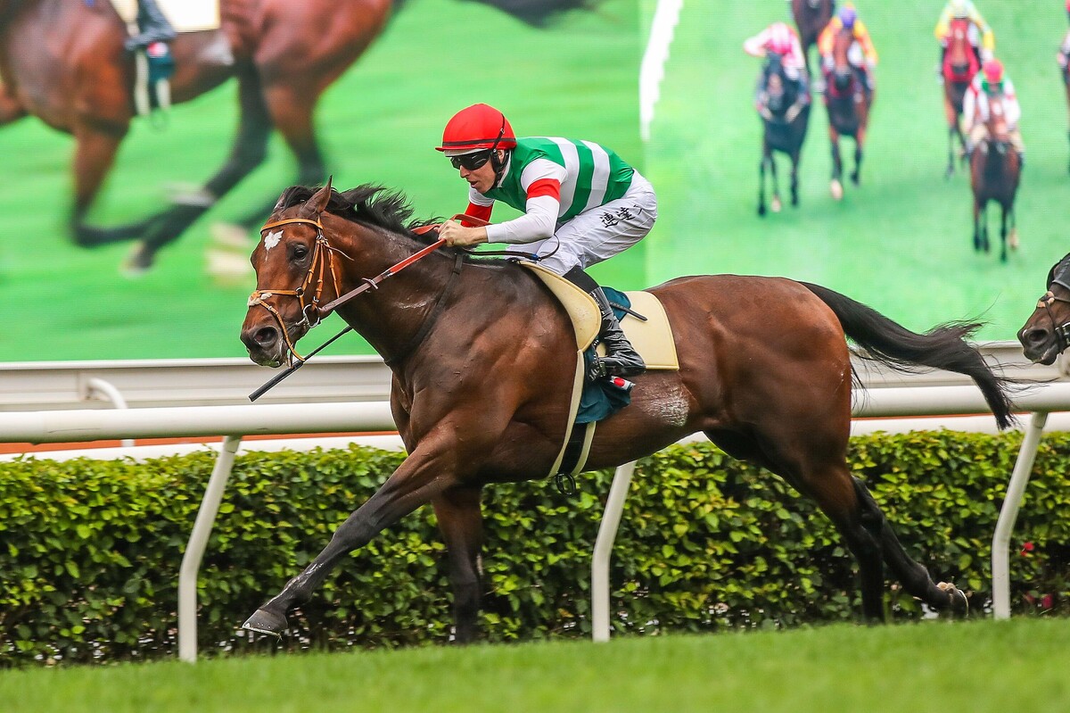 タスティエーラ アイドルホース クイーンエリザベスII世C クイーン