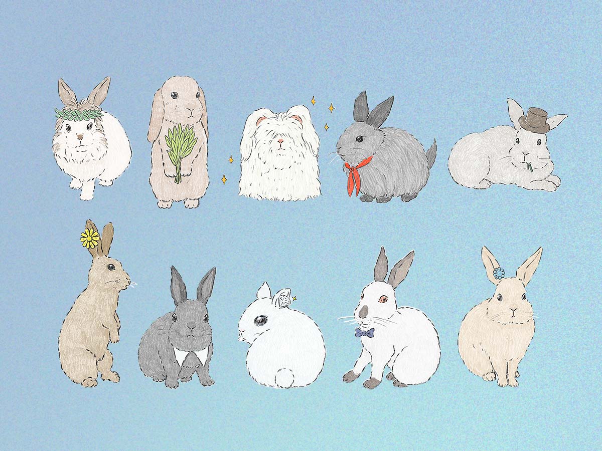 水晶玉子のプレミアムうさぎ占い 2026年3月の運勢