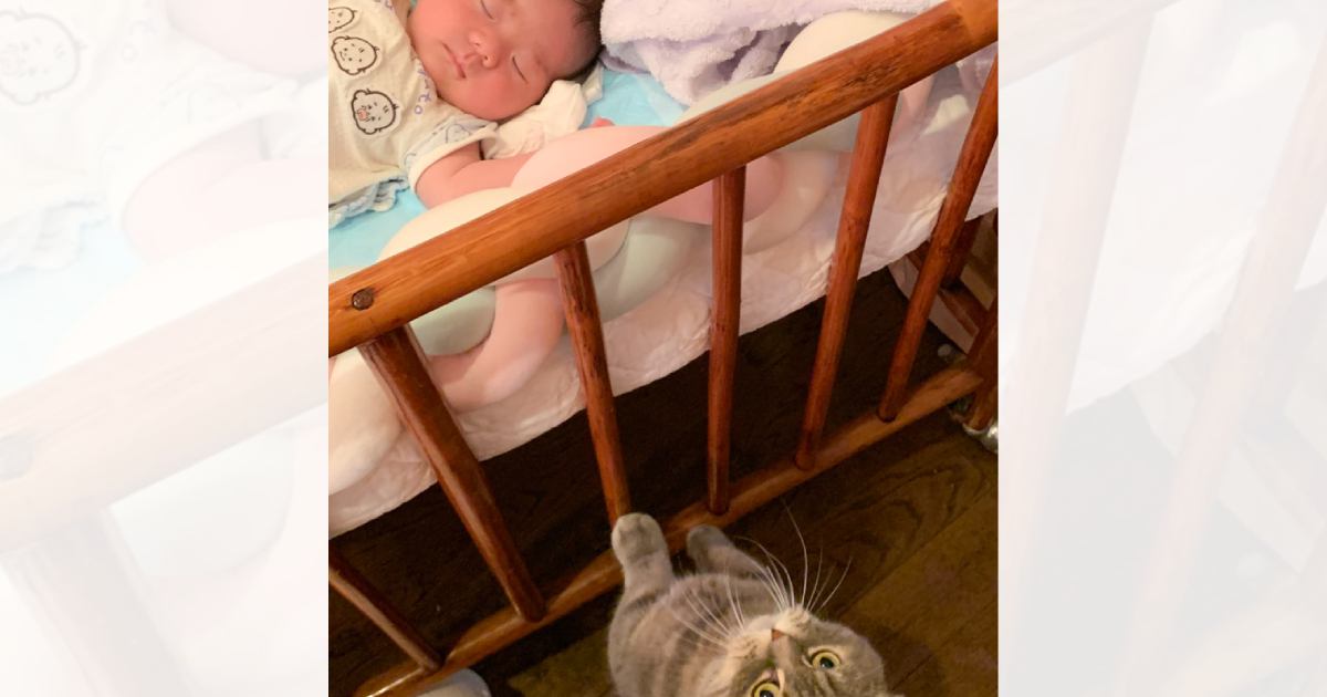 ˲²˲ää֤򸫼ǭ ͥѤ˴