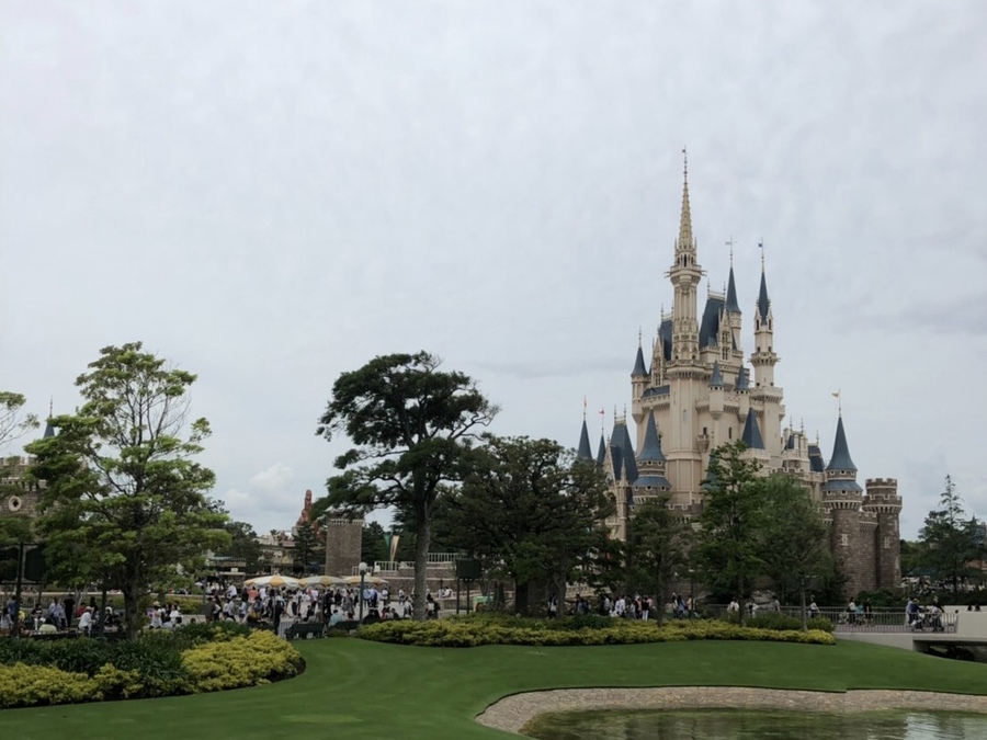 �ʤ����ǥ����ˡ���40�аʾ����ब����