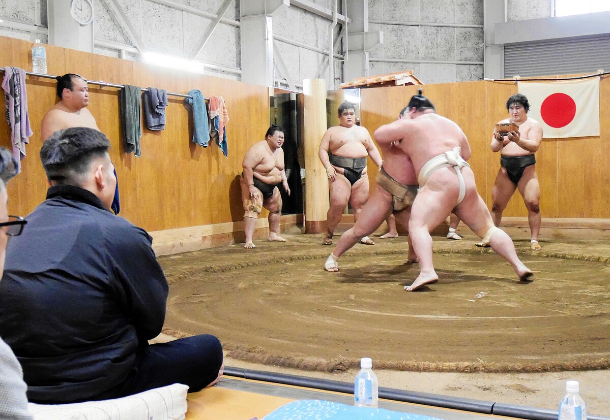 　土俵に視線を向ける湊川親方