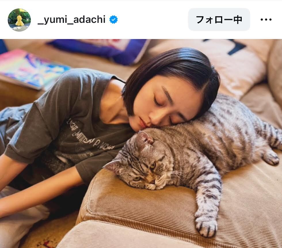 「全部がかわいすぎ」安達祐実、ニャンコと一緒に思わずウトウトする様子が可愛すぎる!「癒されました」 - ライブドアニュース