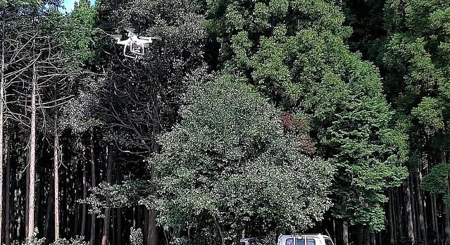 ドローンによる「樹木医リモート診断サービス」 樹林の管理や危険木の発見をドローンで支援