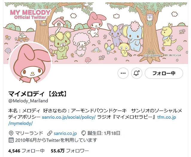 マイメロ様確認用ページ MY♡ MELODY♡様 マイメロ様確認用ページ
