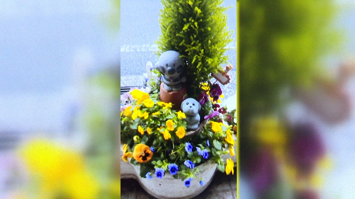 画像が削除されました