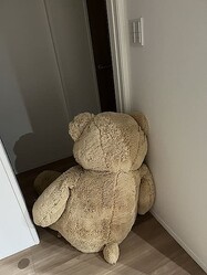 �����ȥ��Υ��ޤ���