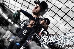 ���𤬸�ή������Ѥ����˥ۡ����ȯɽ�ڲ����������󶡡�