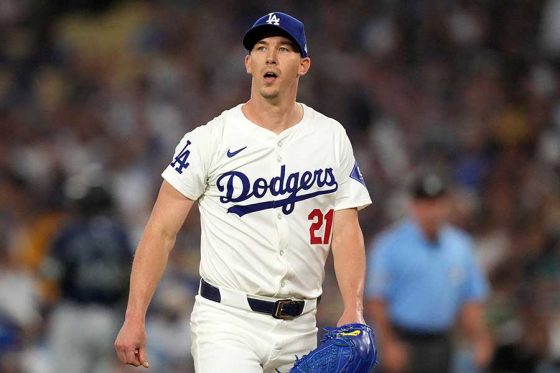 ���ɥ��㡼���Υ������������ӥ塼�顼�ڼ̿�������������