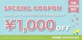 coupon-2