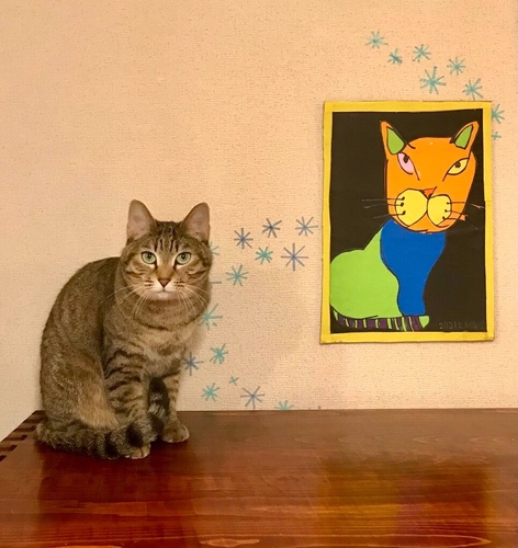 猫を愛し猫に愛される小学1年生の切り絵に脚光 攻めた色使いや猫の描写