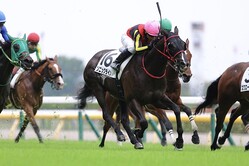 3�о�1�����饹�����˥å��饤���F.���󥵥�٥�����